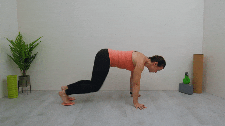 Mountain Climbers with Sliding Discs